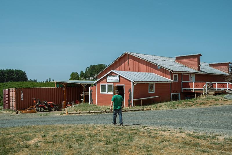 Blanchet Farm Ross walking in front of red bard by Kaveer Rai 2023